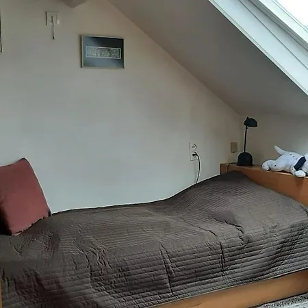 Villa Zonnige Woning Met Zwemvijver *