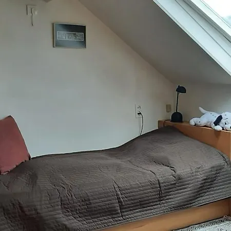 Villa Zonnige Woning Met Zwemvijver *