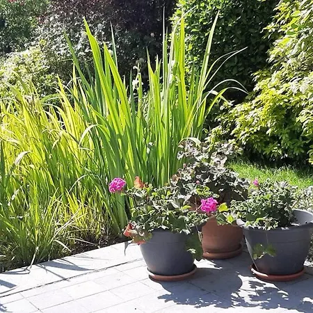Villa Zonnige Woning Met Zwemvijver