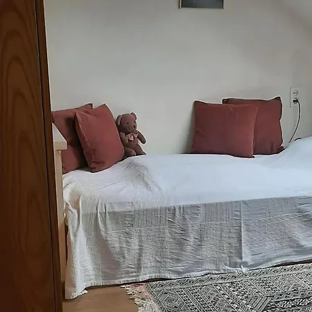 Zonnige Woning Met Zwemvijver Villa Koksijde