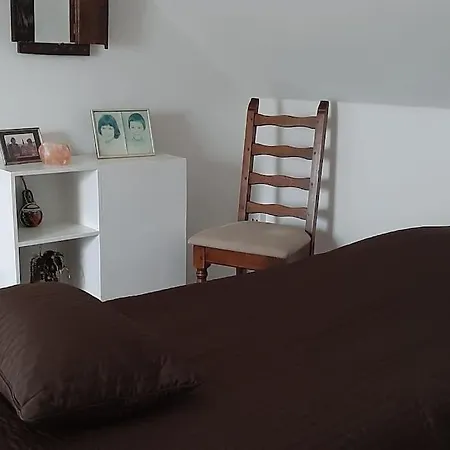 Zonnige Woning Met Zwemvijver Koksijde