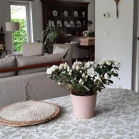 Villa Zonnige Woning Met Zwemvijver Koksijde