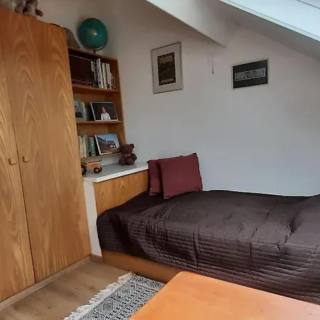 Zonnige Woning Met Zwemvijver