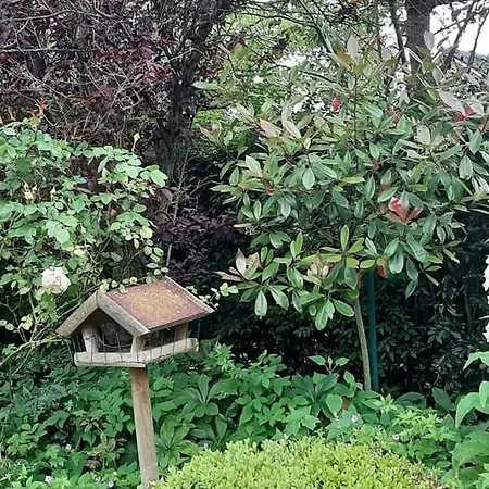 Zonnige Woning Met Zwemvijver Villa Koksijde