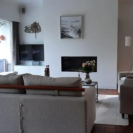 빌라 Zonnige Woning Met Zwemvijver 코크시데