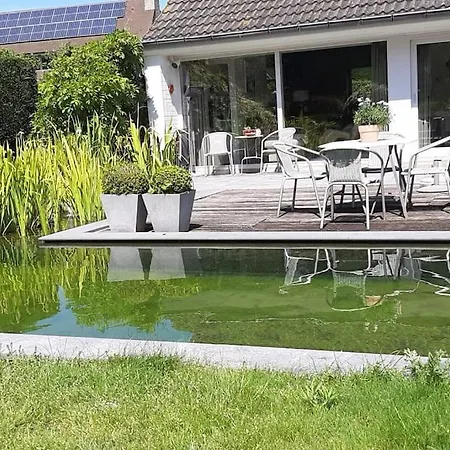 Villa Zonnige Woning Met Zwemvijver *