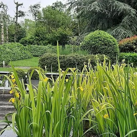 Zonnige Woning Met Zwemvijver Villa Koksijde