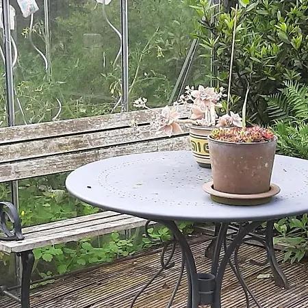 Villa Zonnige Woning Met Zwemvijver