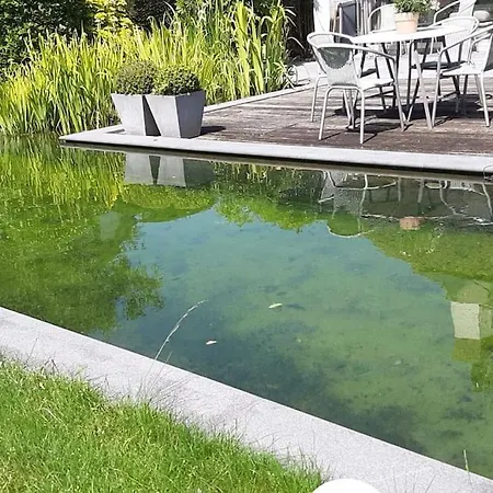 Villa Zonnige Woning Met Zwemvijver
